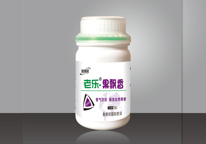 老乐果飘香.jpg